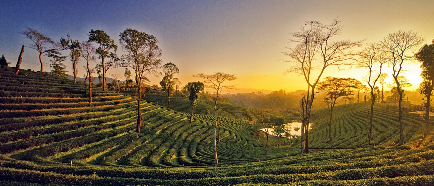 The Beauty Of Shillong Tour And Travels The Beauty Of Shillong Tour And Travels