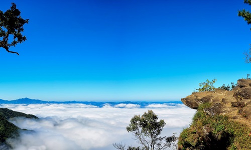 Champhai – The Vineyard of Mizoram